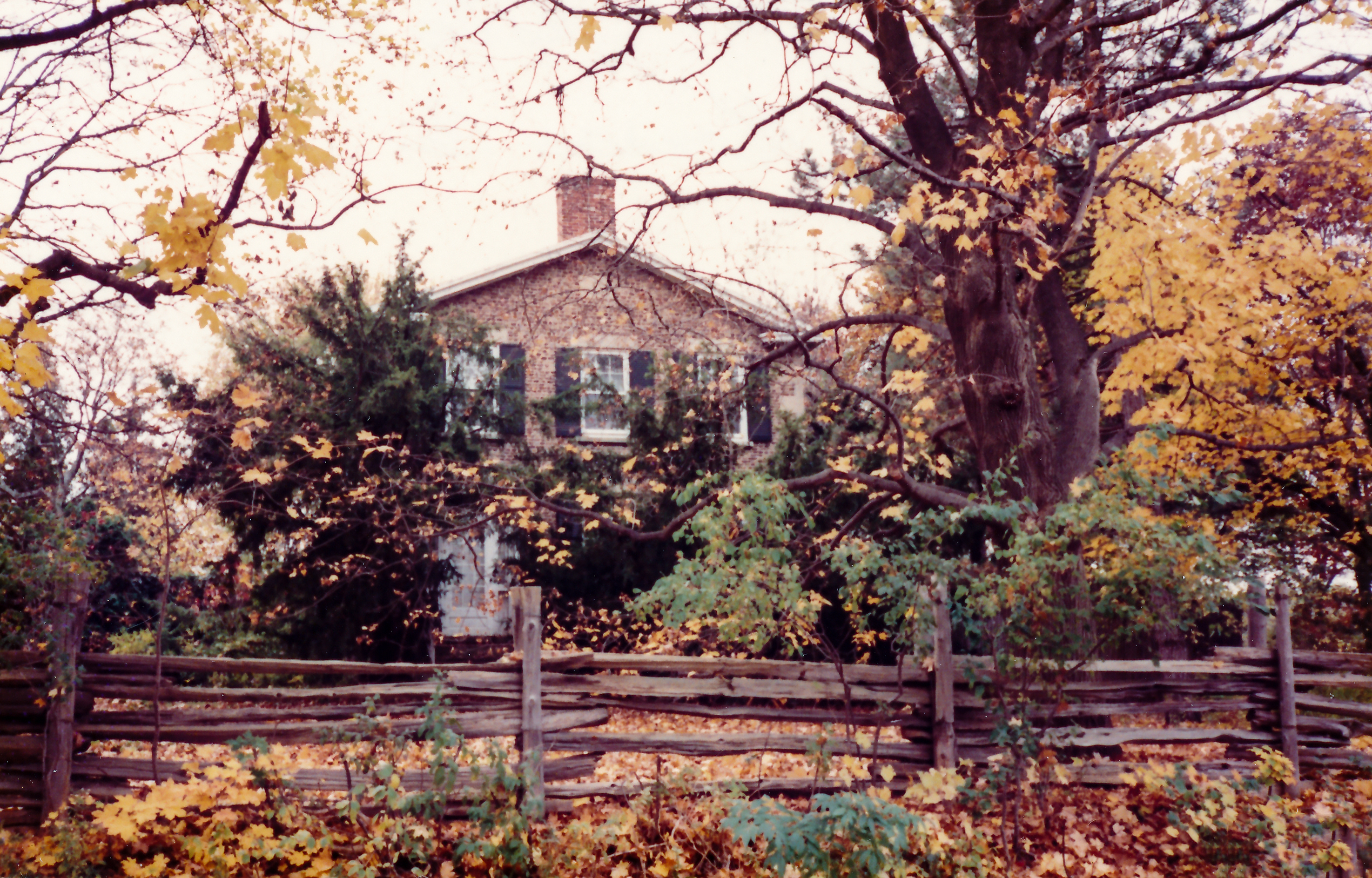 Hen-13 Otis-Hemplemann 1